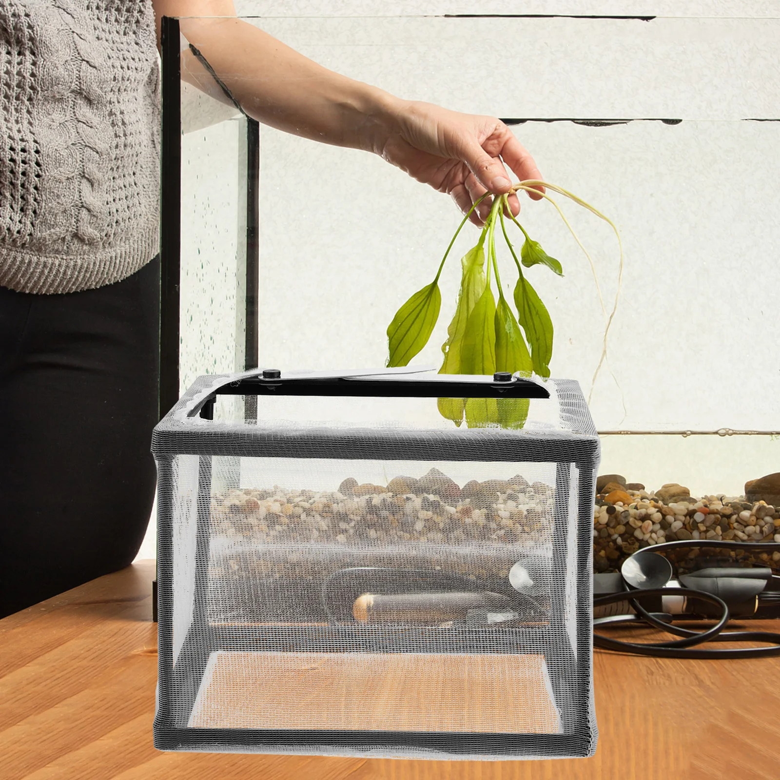 

Aquarium Breeding Incubator Box Clear Plastic Fish Hatching Isolation Net Cover Tank Nursery Fish Divider Box Aquarium Nursery