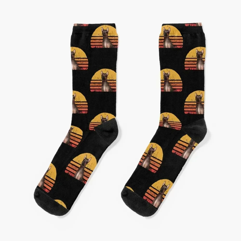 

American Hairless Terrier Vintage, Retro American Hairless Terrier Sunset, American Hairless Terrier Mom, Hairles Socks
