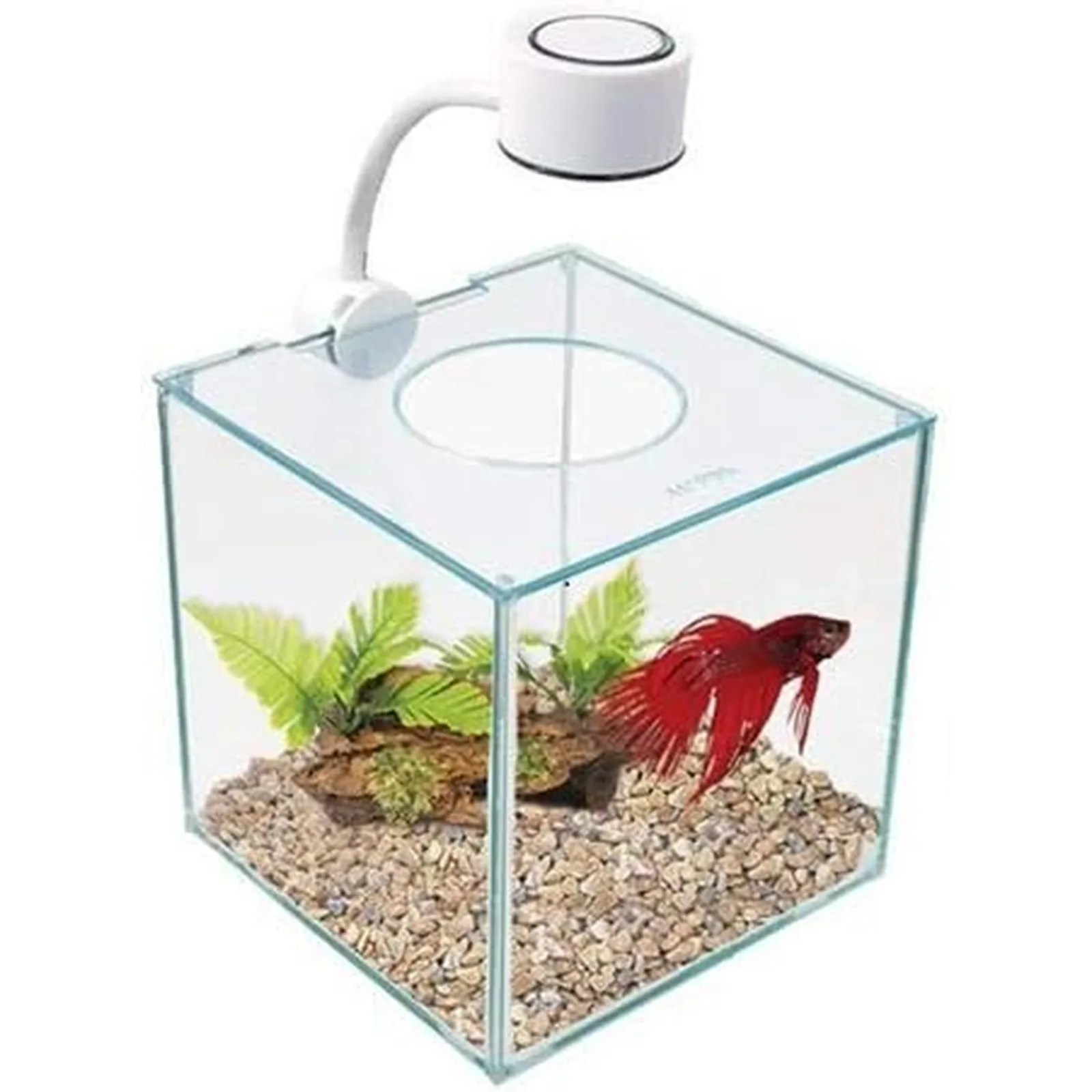 Elegant Aquarium Glass Betta Kit – Homes or Offices