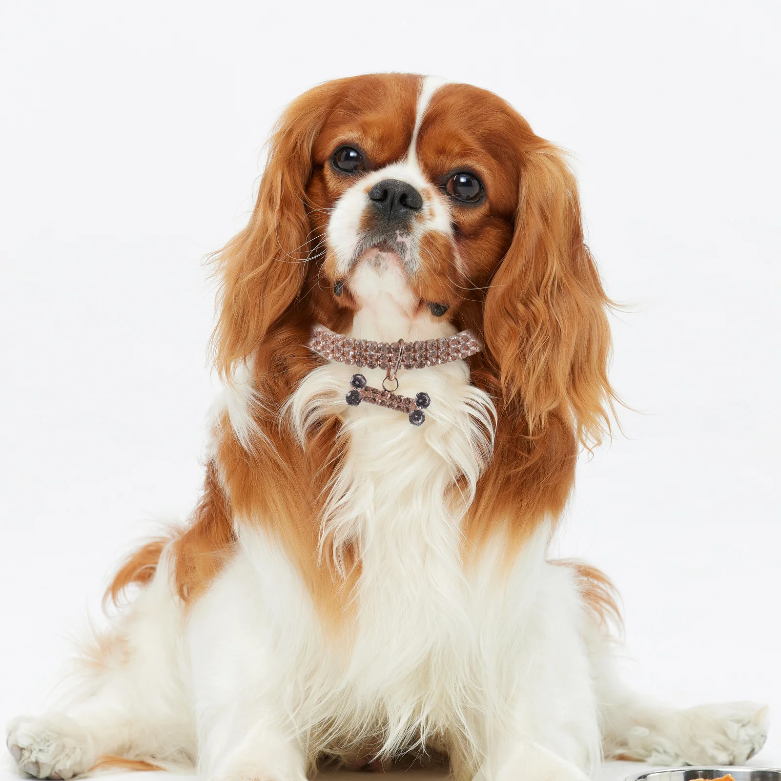 

3pcs Pet Collar for Small Dogs Bone Pattern Lightweight Secure Clasp Festive Holiday Chain Necklace Dog Jewelry Unique Charm