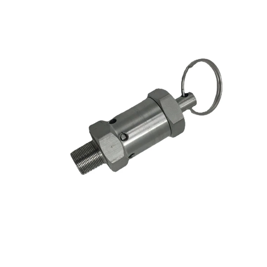 

Предохранительный клапан из нержавеющей стали с внешней проволокой 304, регулируемый пружинный клапан сброса давления для автоматического выхлопного бака