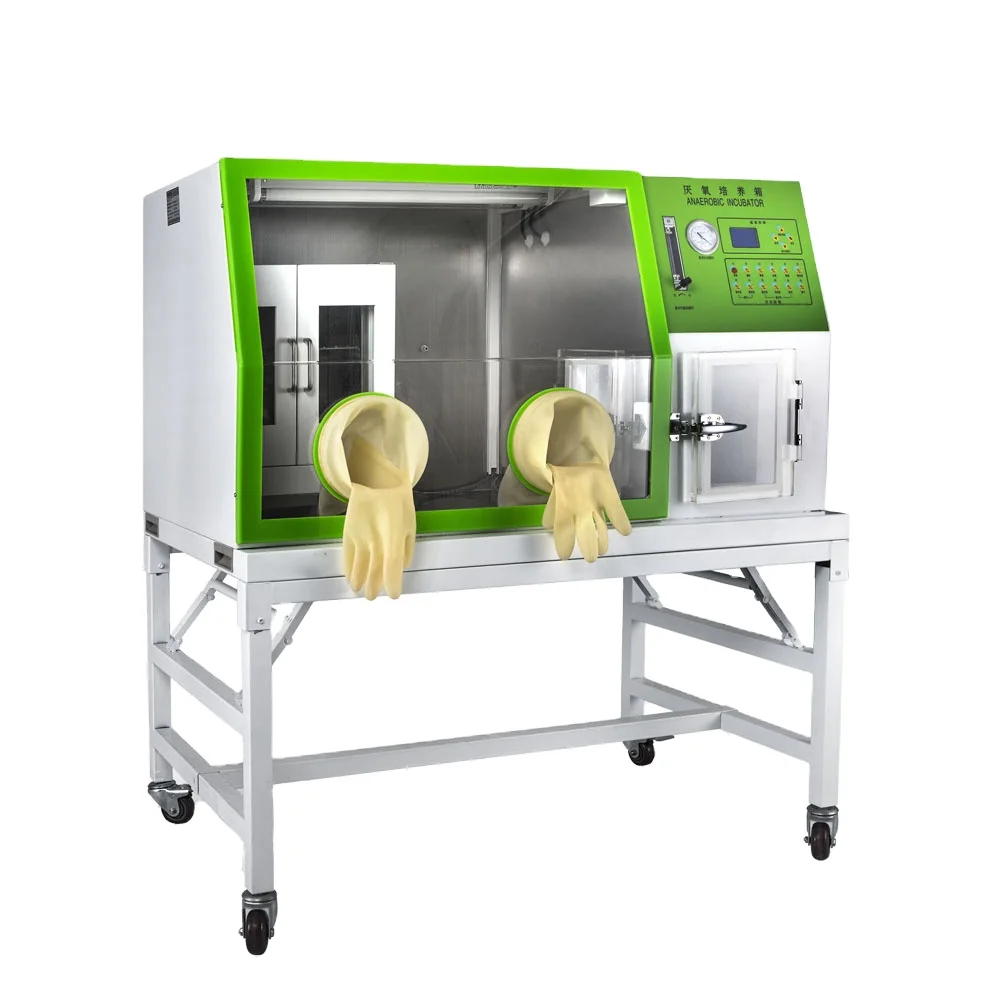 LAI-3 laboratory Bacterial Basis Anaerobic Incubator culture Anaerobic Chamber Price