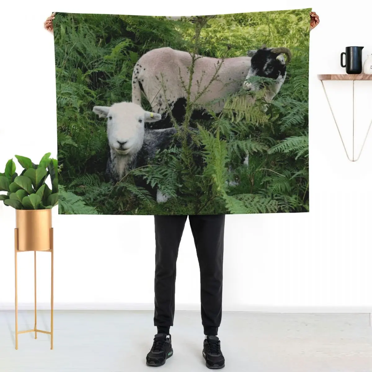 Lake District herdy sheep in laying in ferns Throw Blanket Baby Hairy Sofas Soft Warm Blankets