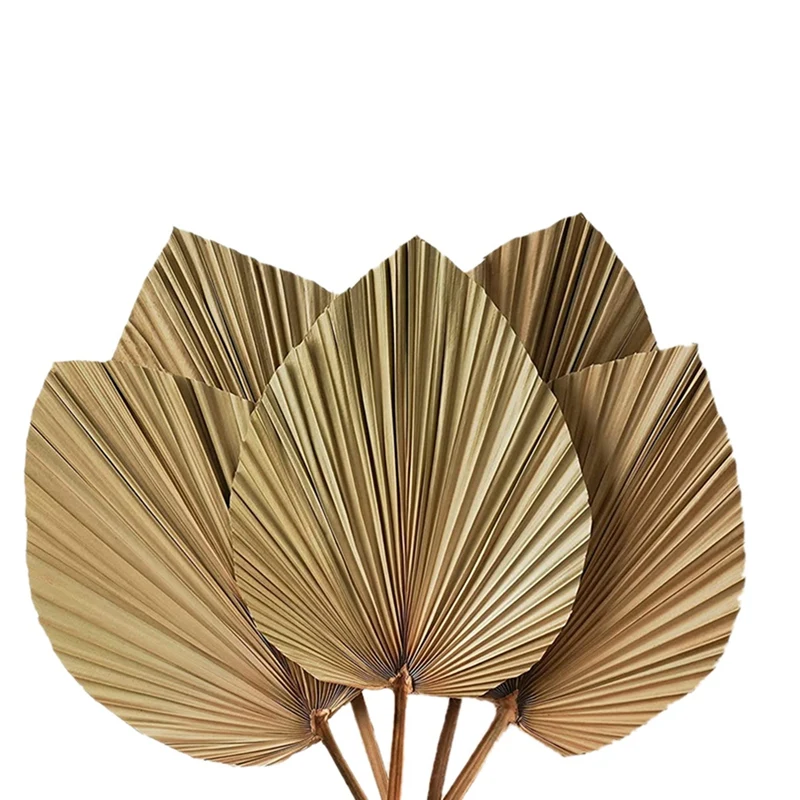 Dried Palm Leaves Room Decor 5 Pieces - 18Inch H X 10Inch W Large Natural Palm Leaf Decor For A Beautiful Boho Look