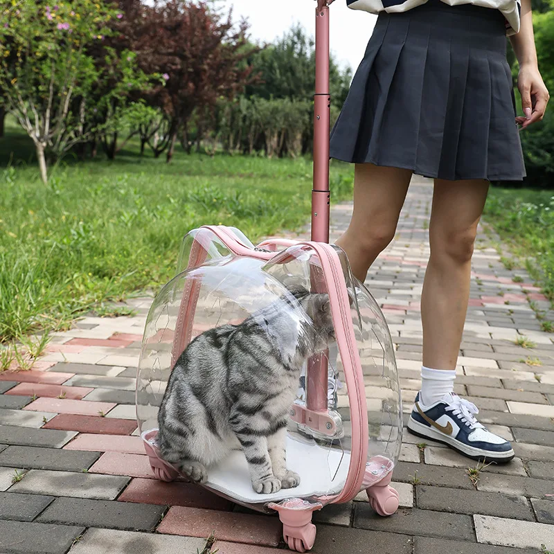Transparent Pet Carrier Travel Breathable Cat Carriers Large Capacity Cat Small Dog Bag with Wheel Handle Kitten Pet Supplies