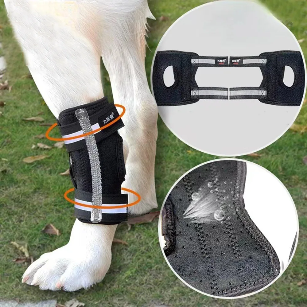 

Pet Joint Protection Sleeve Dog Fracture Fixation Splint Hind Leg Weakness Support Frame Arthritis Short Auxiliary Belt Supply