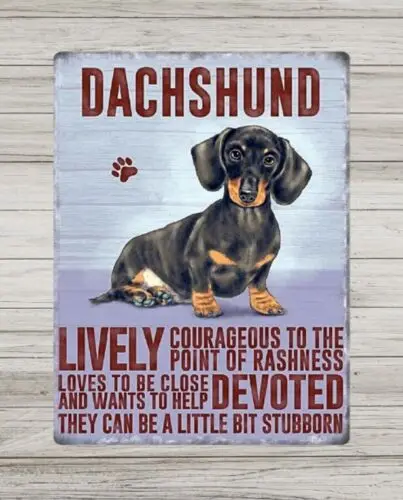 Vintage Metal Dachshund Sign,  Retro Dog Breed sign, Mancave Plaque Tin