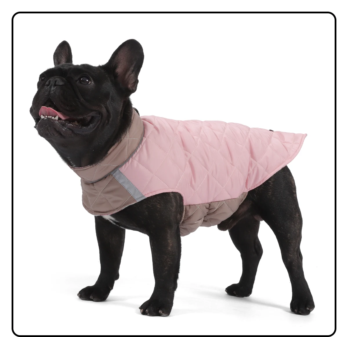 Winterhundekleidung, warmer Hundemantel, beidseitig tragbar, PP-Baumwolle, Outdoor-Welpenkleidung, Jacke, Chihuahua, French Bulldog Kleidung – Detail 13