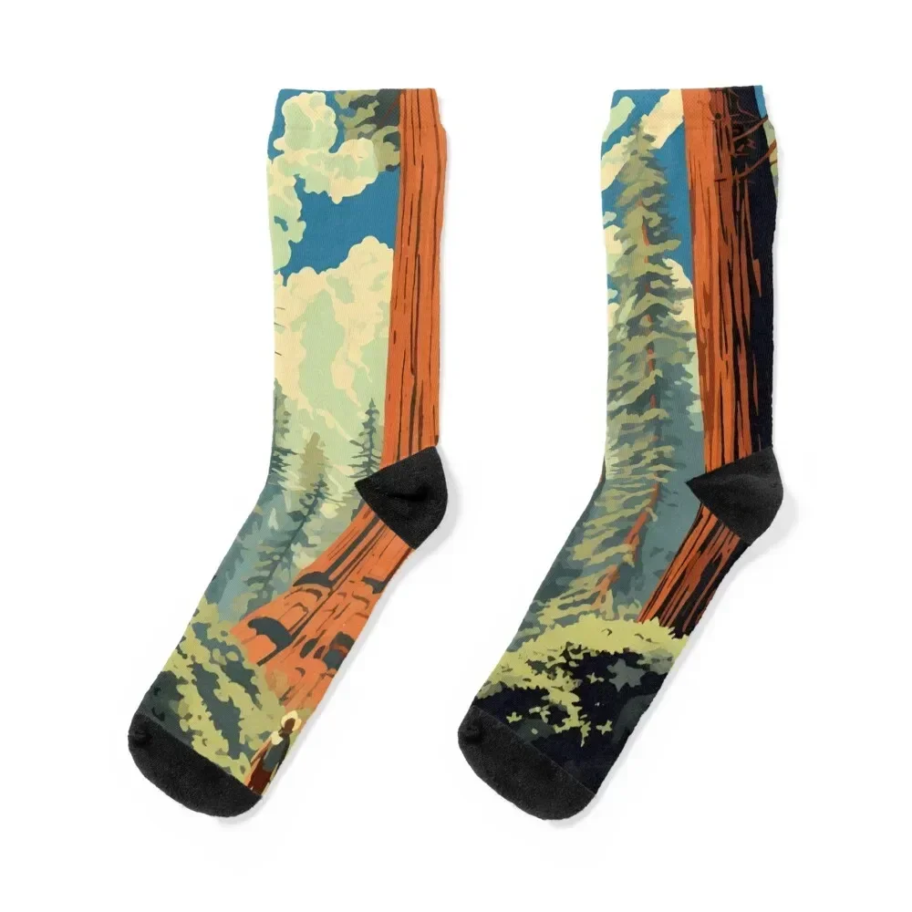 Sequoia National Park Illustration Retro Socks hockey funny sock cotton Designer Man Socks Women's