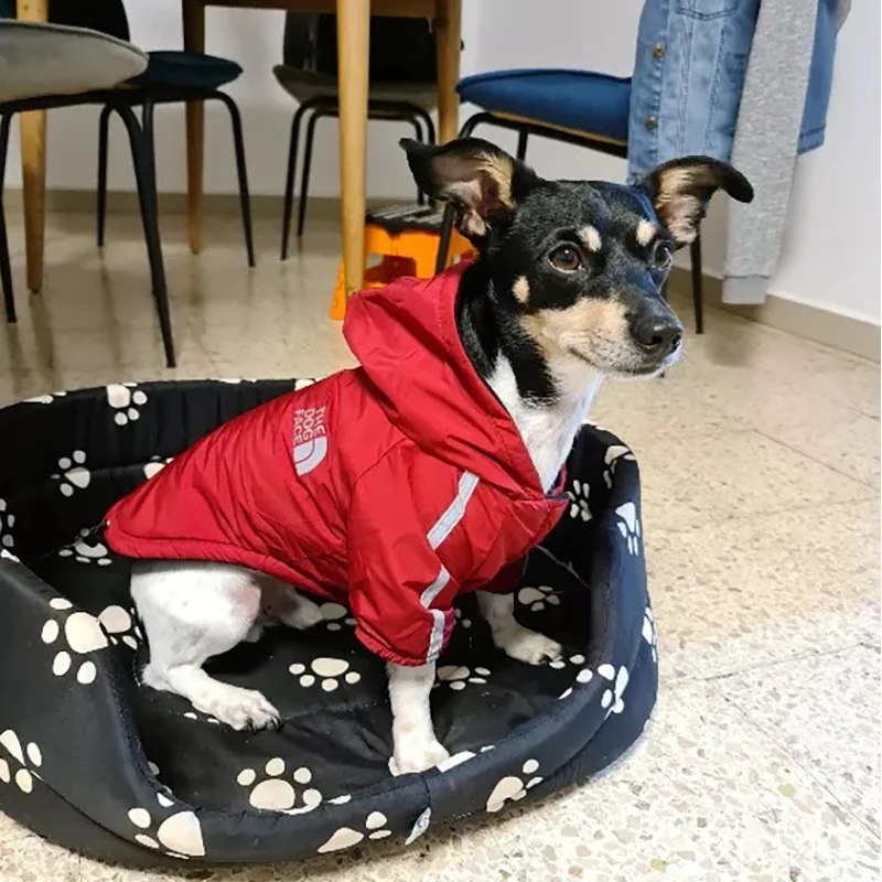 Ropa impermeable para perros, abrigo reflectante para mascotas pequeñas y medianas, chaquetas de lana cálidas para perros, chubasquero para cachorros, traje para Chihuahua