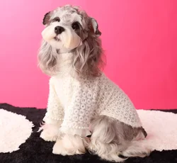 Breathable Cotton Pet Vest, T-Shirt Costume, Fashion