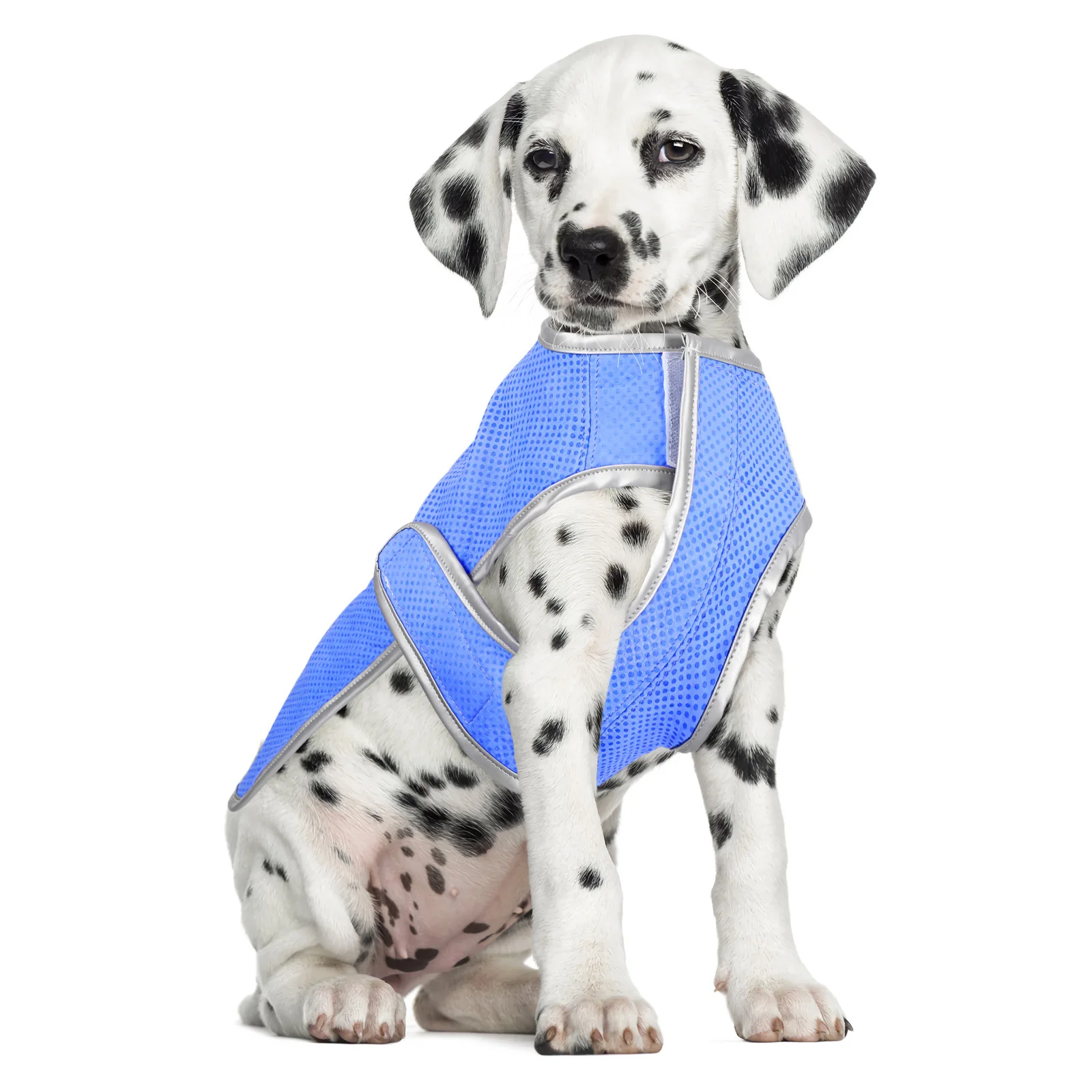 

Cooling Dog Vest Pet Supply Puppy Waistcoat Mesh Fabric Double-Seamed Pva Tech Eco-Friendly Comfortable Fit Flexible Sticky Tape
