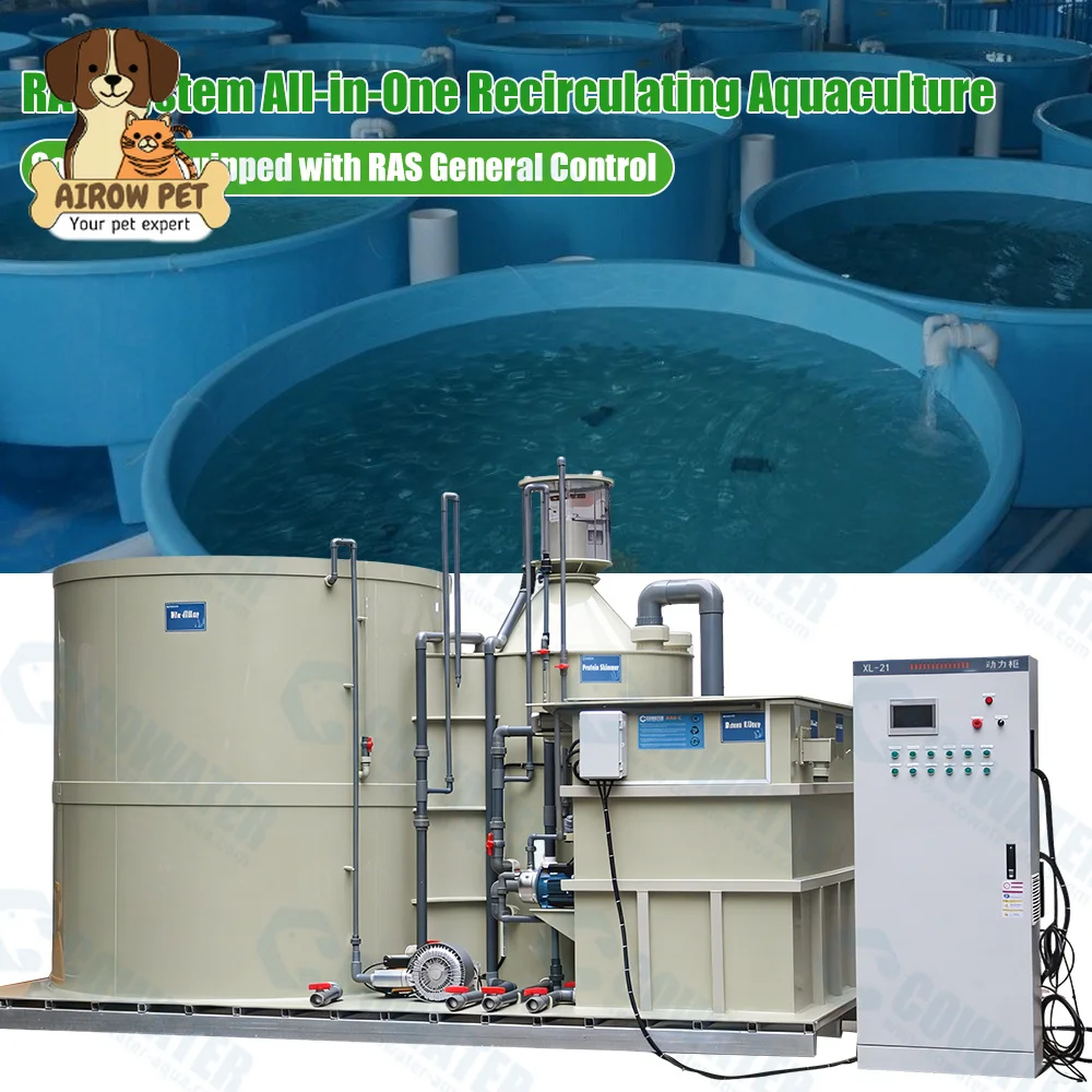 AIROW Indoor Carp Farm Equipment Professional RAS Fish Farming System Water Treatment for High-Density 40 M3 Fish Pond