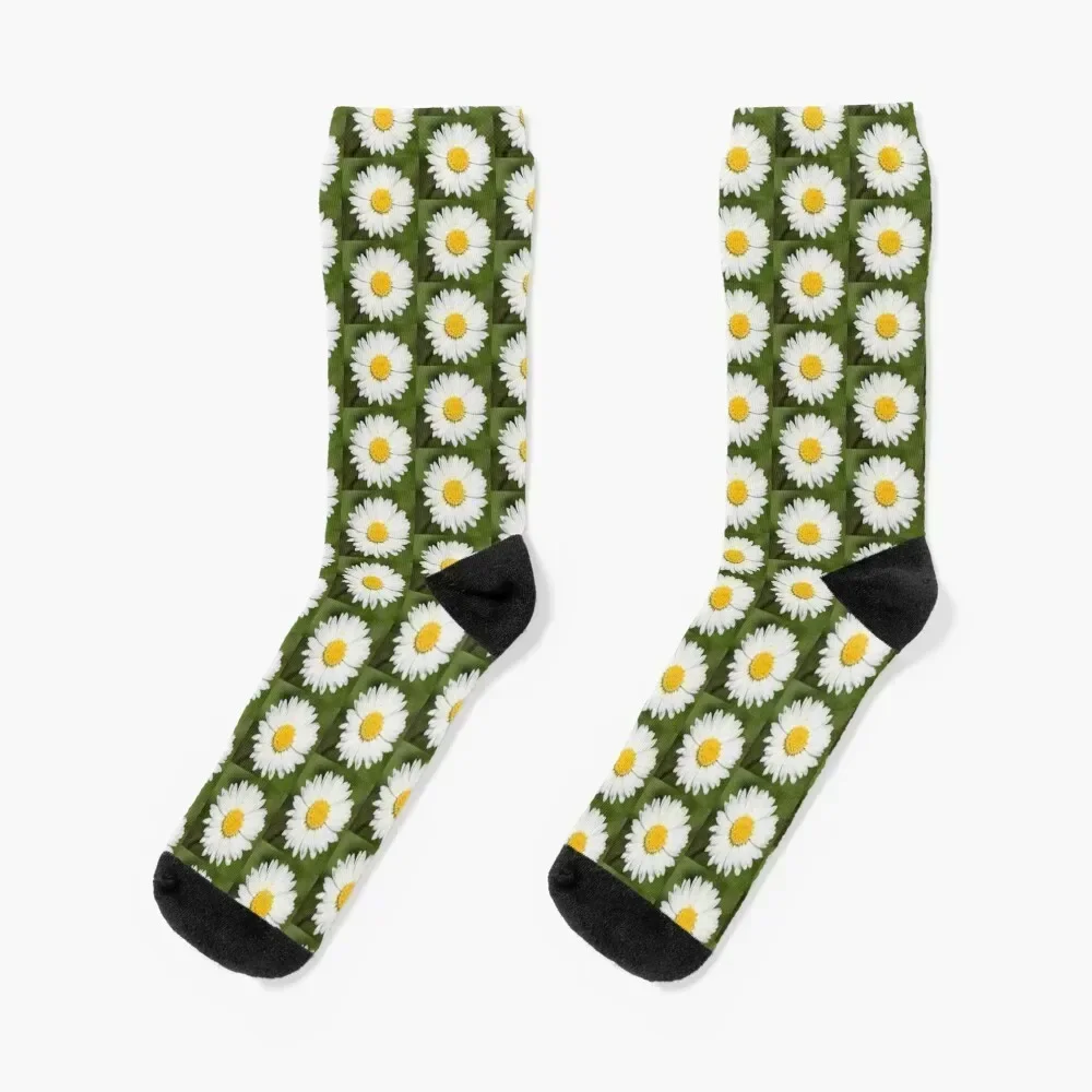 Closeup Of A Beautiful Yellow And Wild White Daisy Flower Socks football man Mens Socks Women's