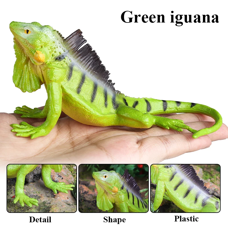 Oenux Reptile Animals Wild Chameleon Lizard Lguana Thorny Devil