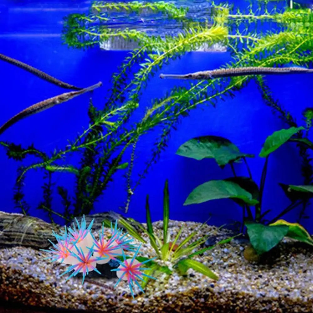سيليكون محاكاة شقائق النعمانات الملونة غير سامة النباتات المائية لينة الزخرفية خزان الأسماك المناظر الطبيعية خزان الأسماك