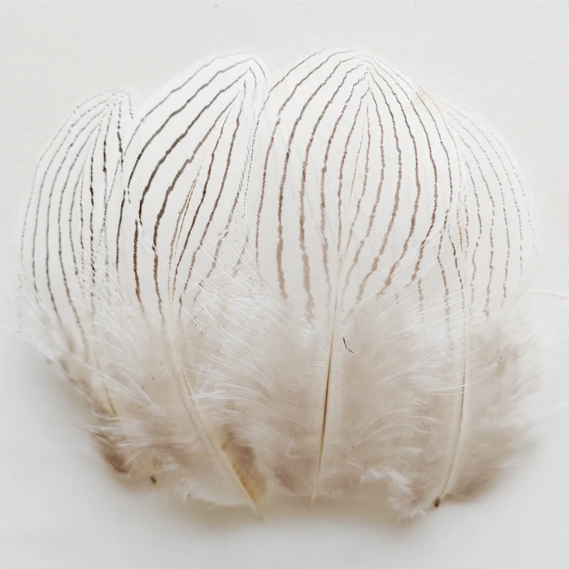 

100pcs/lot 8-12cm Natural SILVER PHEASANT BODY PLUMAGE FEATHERS for DIY Craft,Fly Tying Materials,Chicken,Plumas Decorativas