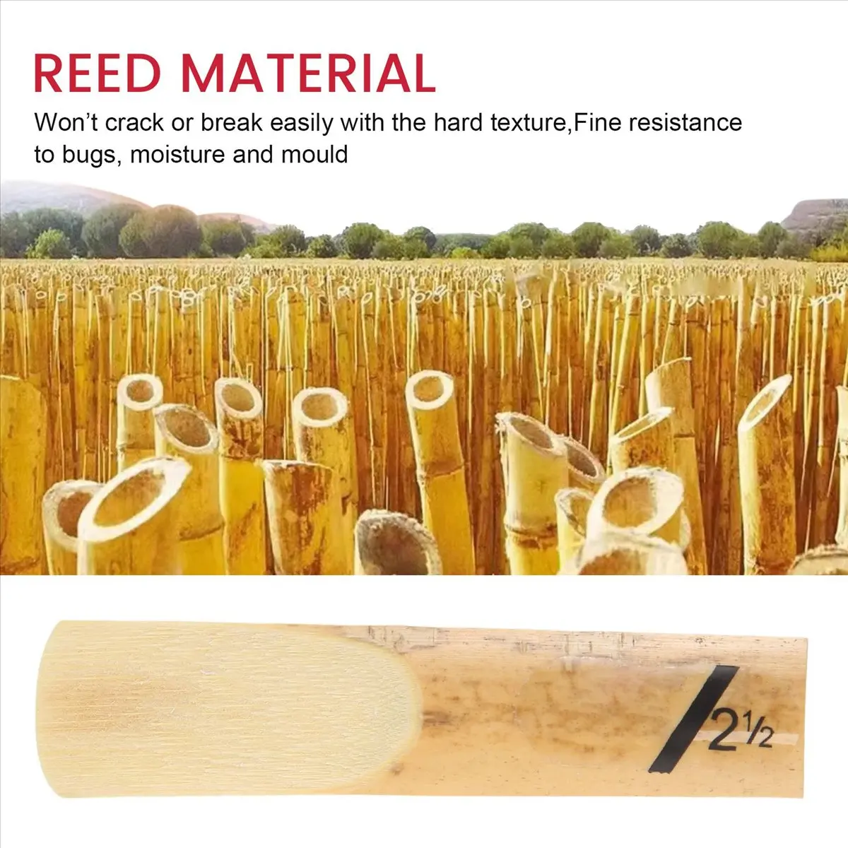 New Arrival Fashion 10Pcs Alto Saxophone Sax Reeds Classic Alto For Saxophone 2.5 Strength 2 1/2 Music Xmas Gift Musical Instrum