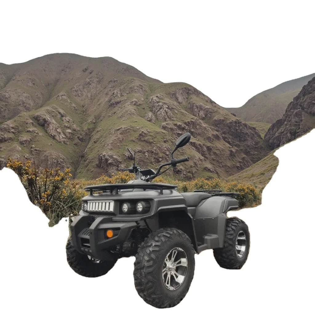 

SXLL 4WD Electric All Terrain Vehicle 5000W 72v Lithium Battery Practical Farm Style Four Wheel All Terrain Vehicle