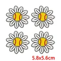PE19037CT