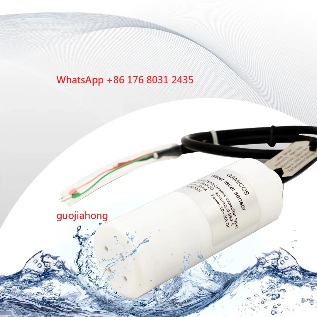 

GLT570 Submersible Type Anti-corrosive Ceramic Pressure Level Transmitter for Sodium Hypochlorite Solution