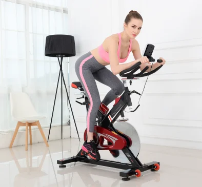 Indoor Exercise Flywheel Spinning Bike Cycle Exercise Machine For Home Office Use