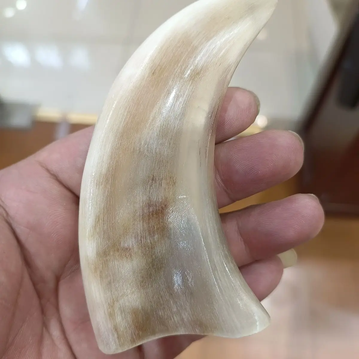Home Decor Crafts Goat Sheep Horn Tube Horn Tube for Scrapping Therapy Horn Crafts Antistatic Display