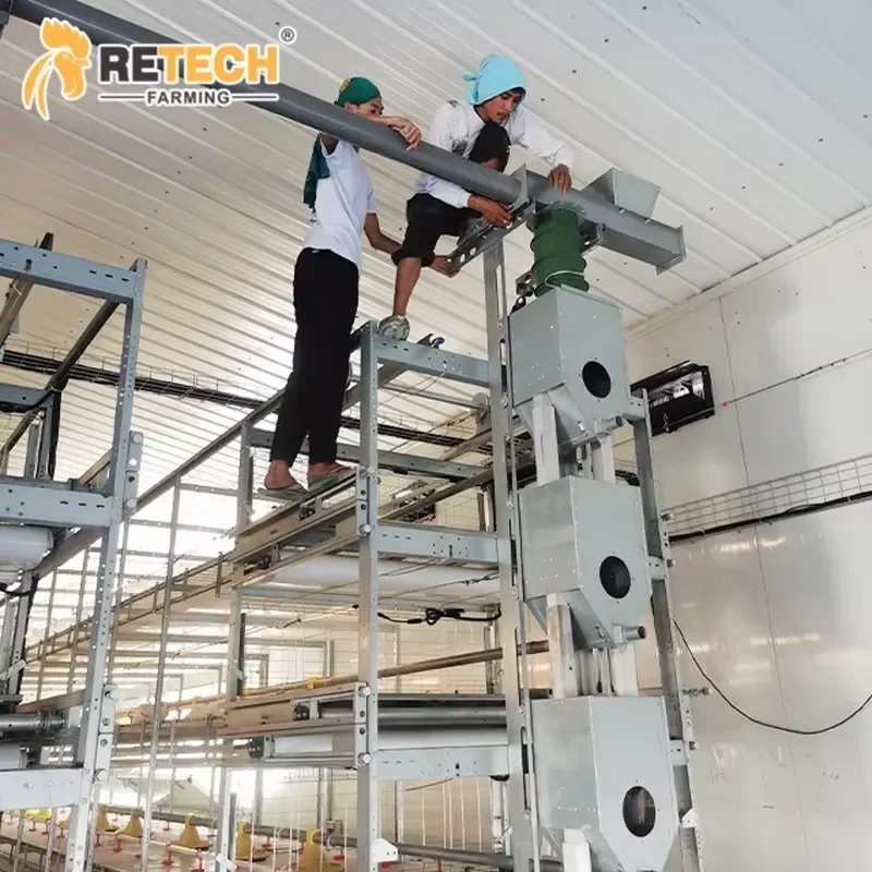 High-capacity Automated 4-Tier Chain Broiler Harvesting Cage for Poultry House Raising Equipment in the Philippines