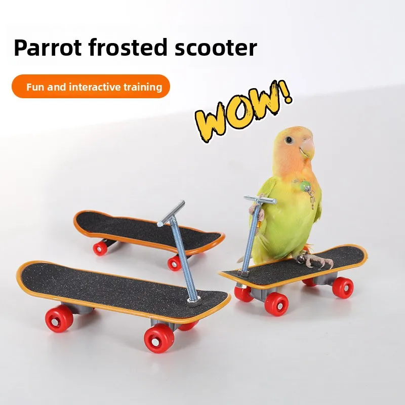 Parrot Intelligence Training Toy, Upgraded Alloy Bracket Finger Skateboard for Budgie Parrot