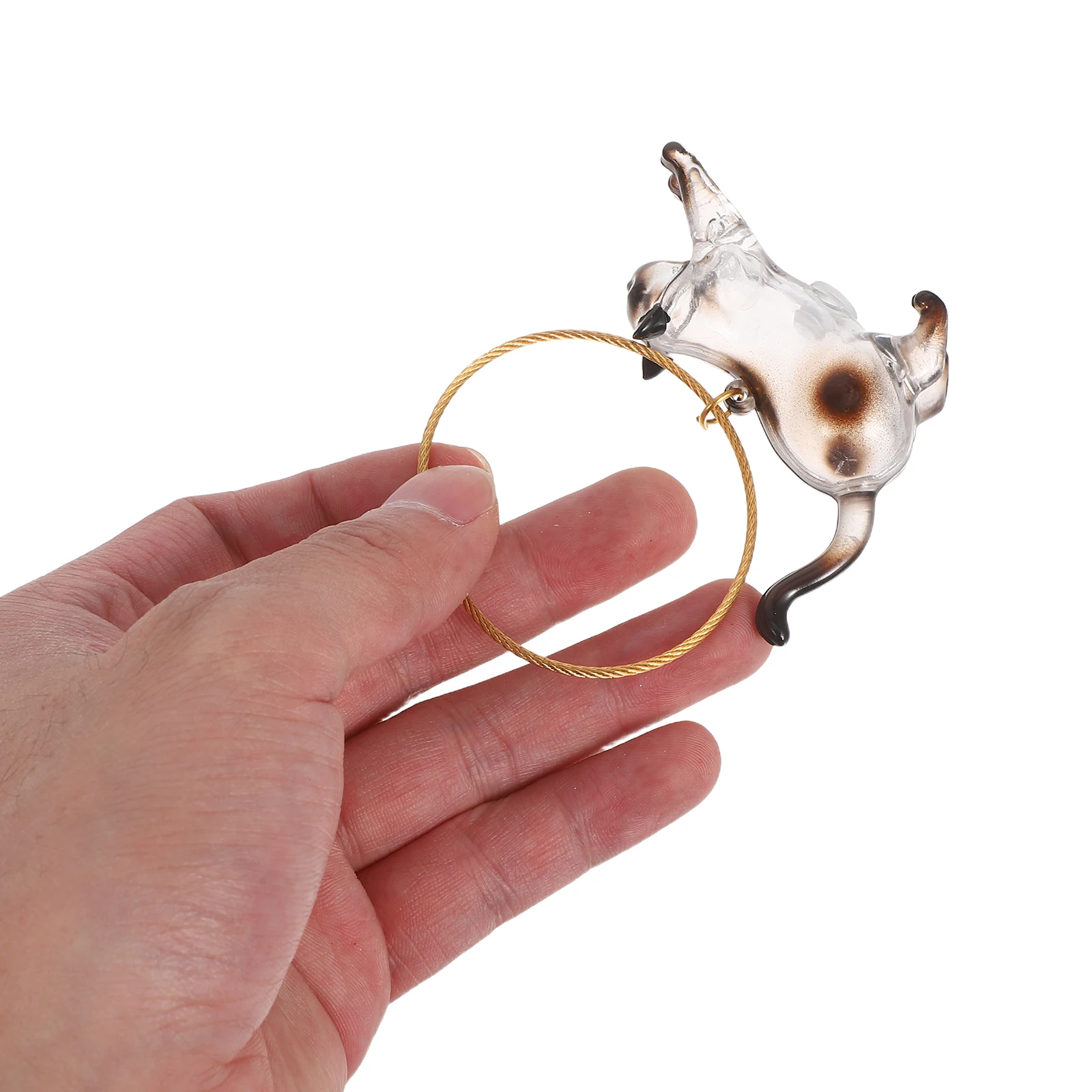 

Transparent Cat Hair Storage Box 1 Piece Pet Hair Keepsake Keychain Cute Kawaii Cat Keyring for First Haircut Memory Portable