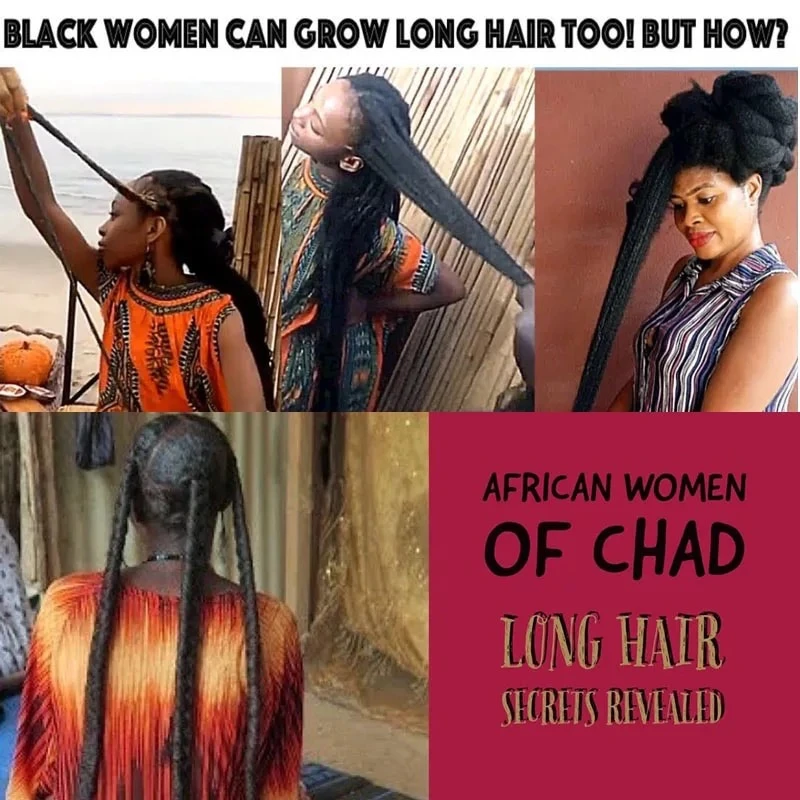 Africa Crazy Hair Edges Growth Traction Alopecia Chebe Powder Thicken Hair Shampoo Hair Loss Treatment Wildly Grow Long hair