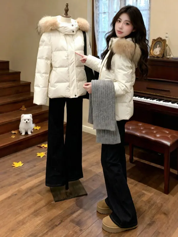 

Корейская короткая хлопковая куртка с капюшоном, нежная и модная весенняя верхняя одежда для невысоких, прямого кроя, на молнии