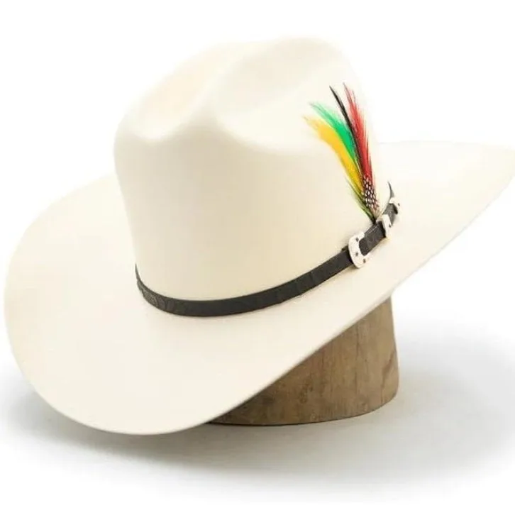 

Sheepskin Hat Fashionable Felt Hat with Leather Trim Pure Wool Felt Hat