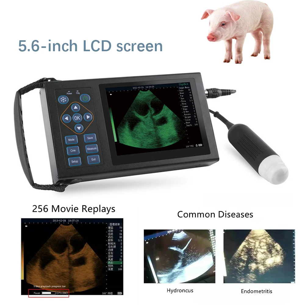 

3.5Mhz Portable Veterinary Ultrasound Machine Ultrasound Scanner Cattle Pig Sheep Ultrasound Pregnancy Testing Machine