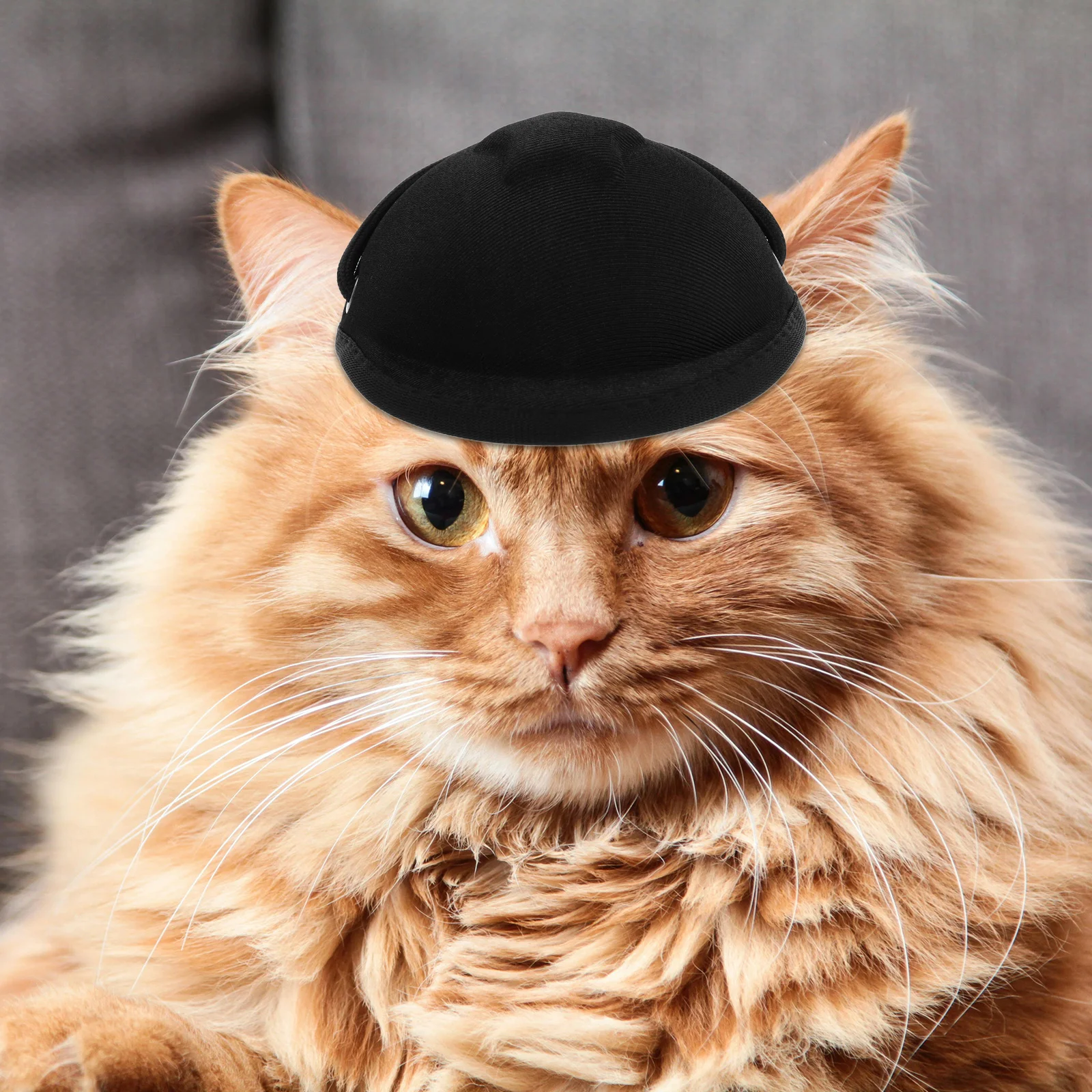 Haustier-Motorrad-Mütze, verstellbar, für Hunde und Katzen, Outdoor-Sicherheit, schützende Hunde-Kopfbedeckung für Partys, kleine, mittelgroße und große Hunde