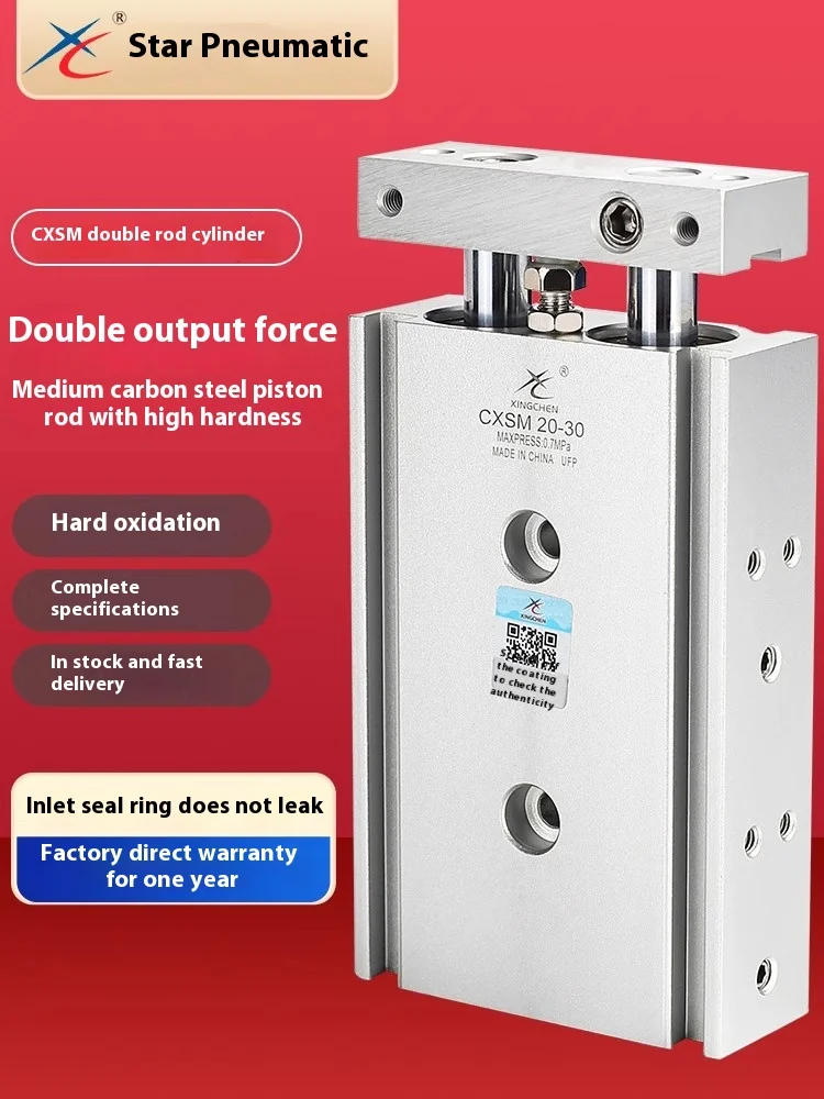 Xingchen small pneumatic double shaft double rod cylinder CXSM/TR6/10/15/20/25