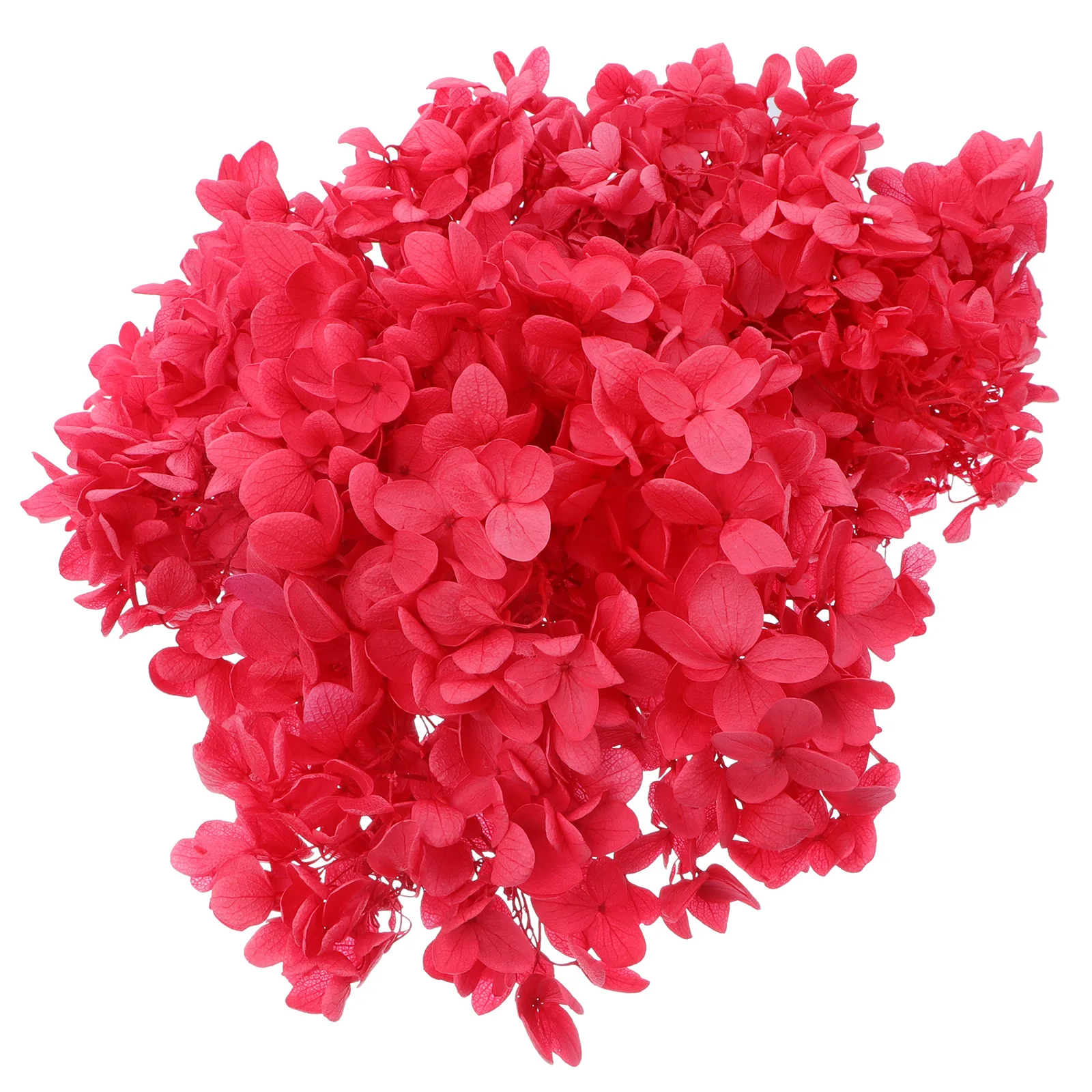 

Everlasting Flower Rose Dried Hydrangea Flowers DIY Crafts Color Preserved Bride H made Material Decorative