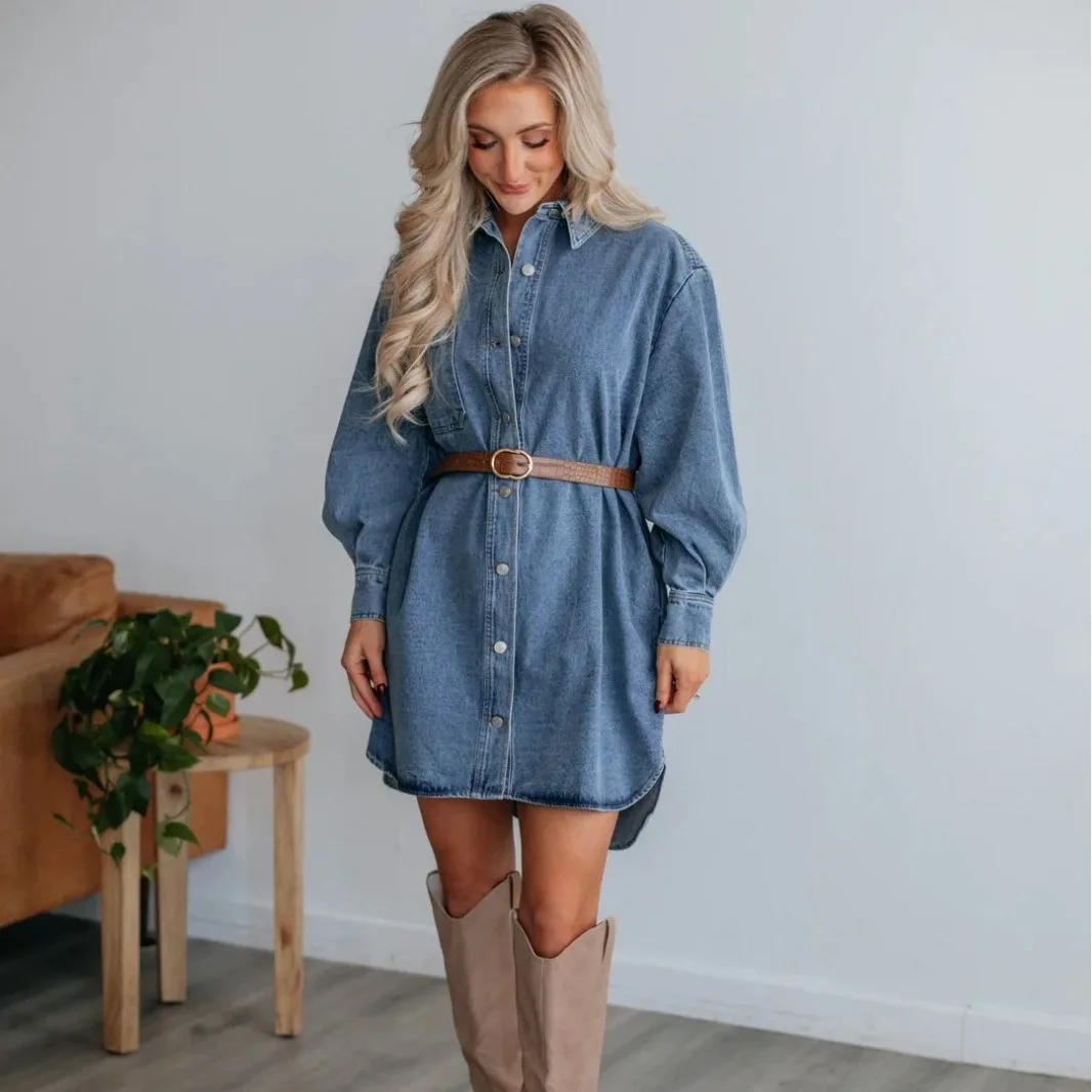 

2024 Spring/Summer New Women's Denim Dress Loose Commuter Casual POLO Neck Dress