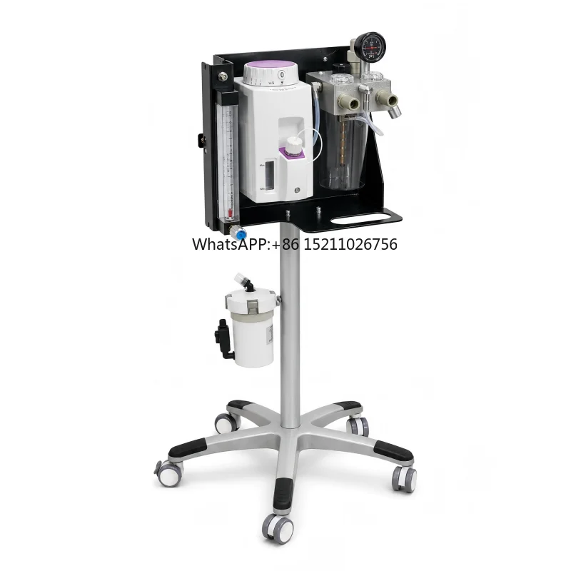 Compact Veterinary - Machine with Oxygen Supply Interface for Dogs Cats Rabbits Animal Hospital