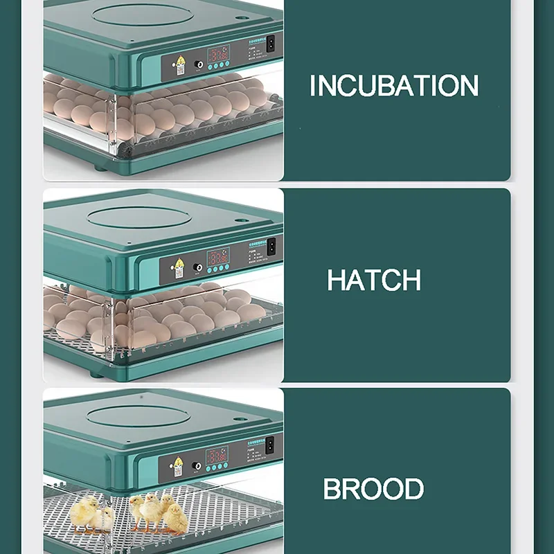 Mini Household Automatic Intelligent Double Power Incubator For Chicken,Duck,Goose,Pigeon,Peacock And Parrot Egg Fully Incubator