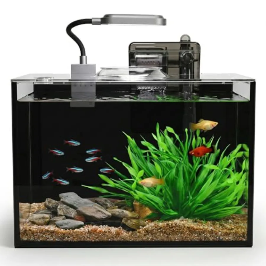

Desktop fish tank kit: 2.5-gallon ultra-clear rimless glass aquarium in black, includes light, filter, gravel, lidideal for bet