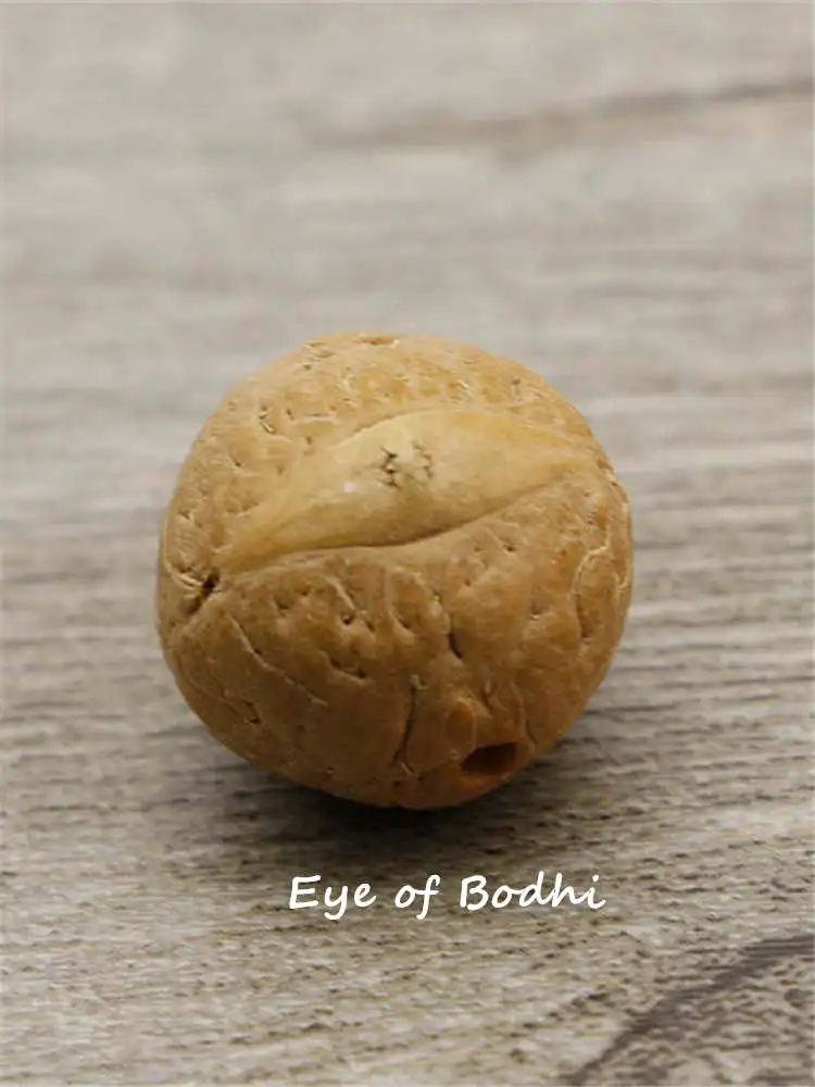 50PCS Natural Bodhi Beads Real Nepal Phoenix Eye Bodhi 15-17mm TSB0432