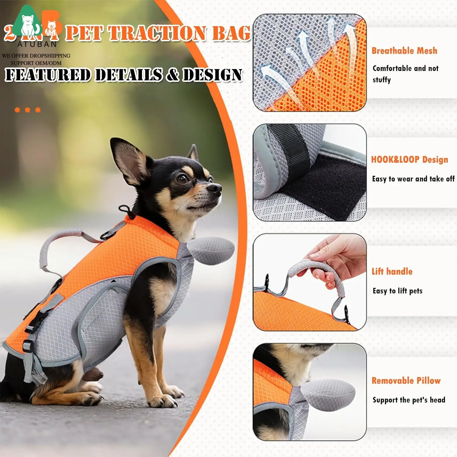 2-in-1 Cat & Dog Carrier 2