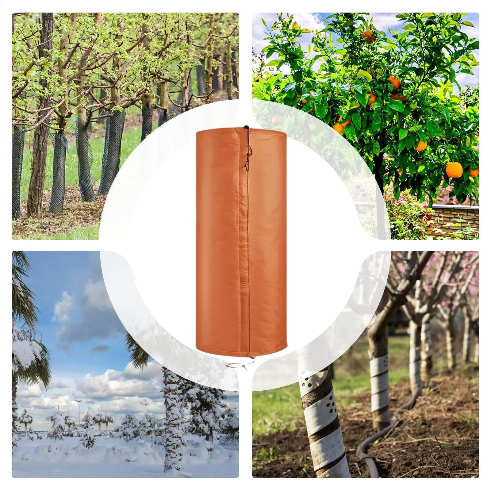 

Tree Guard Antifreeze Winter Insulation Bark Bandage Tree Guards Trunk Protector For Saplings Palm Citrus Olive Shrub Young