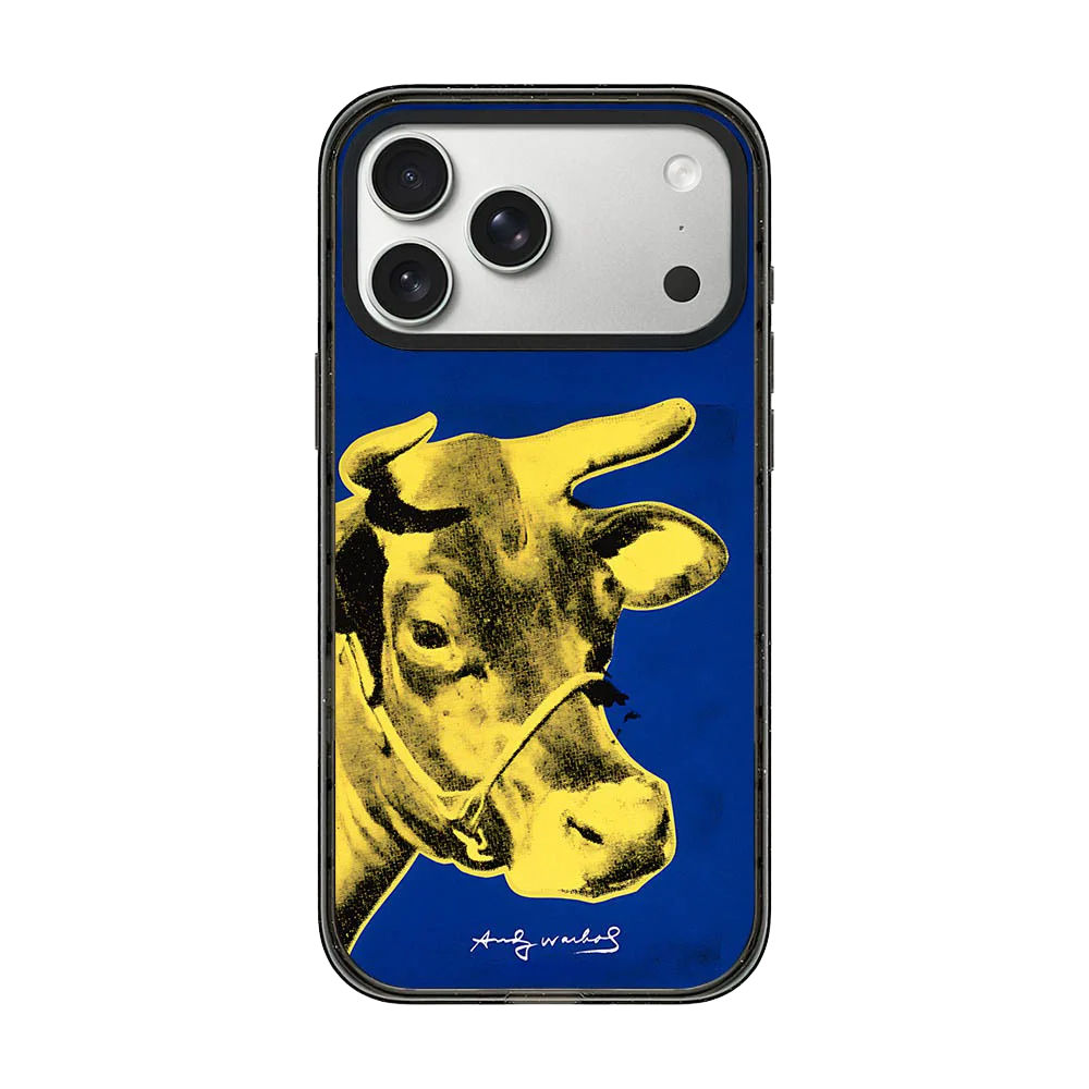 6072127 Acrylic / Mirror Magnetic Case: Compatible with IPhone 17 16 15 14 13 12 Pro Max 17 Air