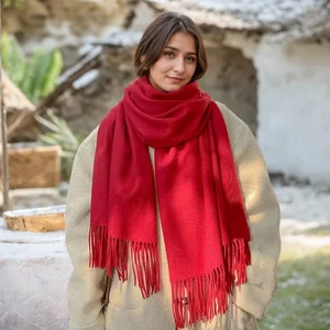 Bufandas de invierno para mujeres Cajeza de cachemira Bufandas Mujeres Negras Bufanda de lana de invierno XWJ07 8 mejores bufanda de lana de ventas - №1