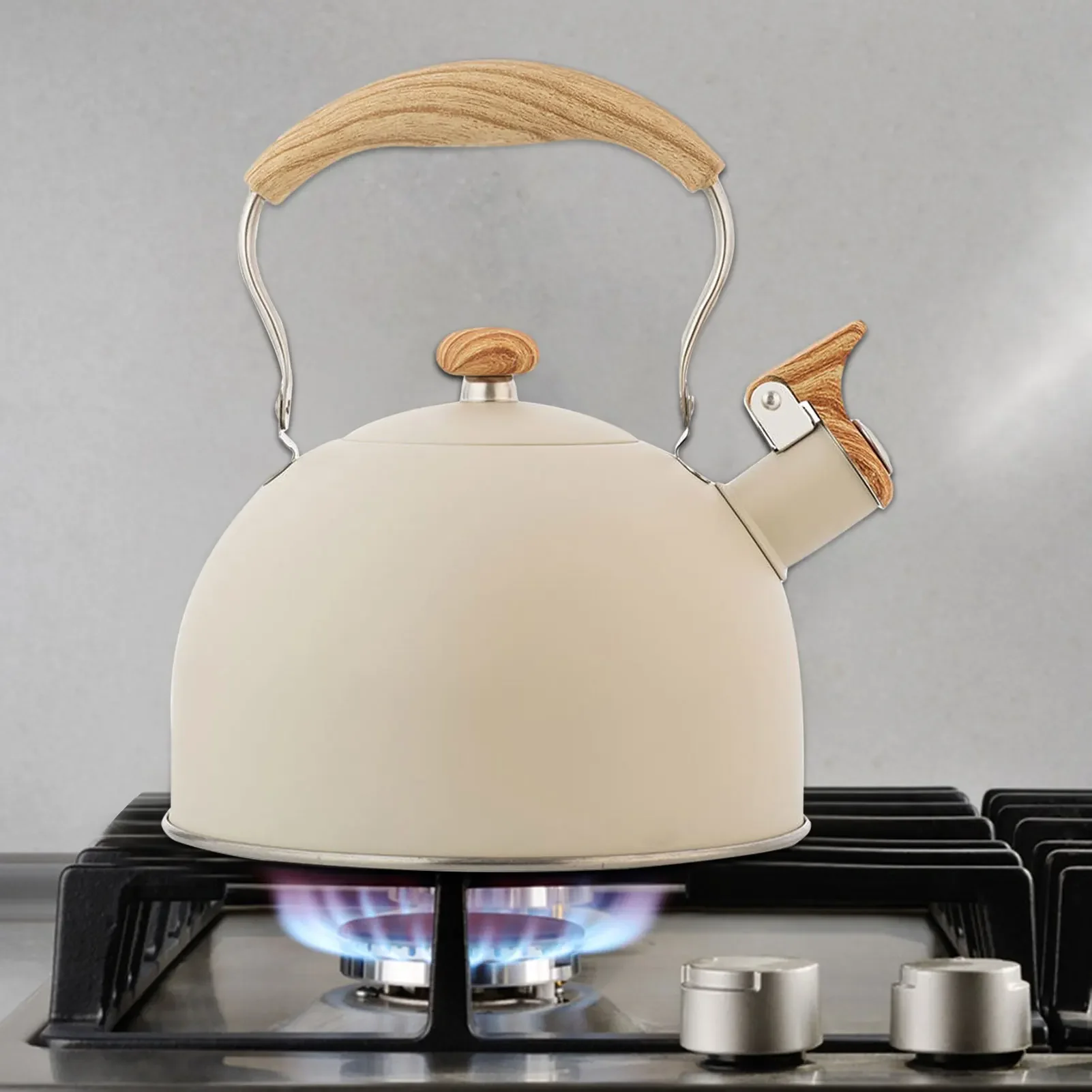 Bouilloire à sifflet en acier inoxydable, bouteille d'eau, théière, cuisinière à gaz F2, cuisinière à induction, 2,5 L