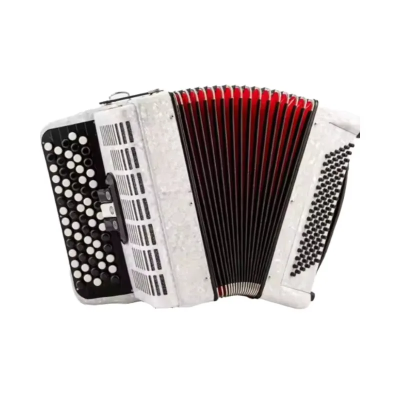 

Hot Selling 96 69 Keys Diatonic Accordion Pianos Industrial Grade Customizable Support for Adults