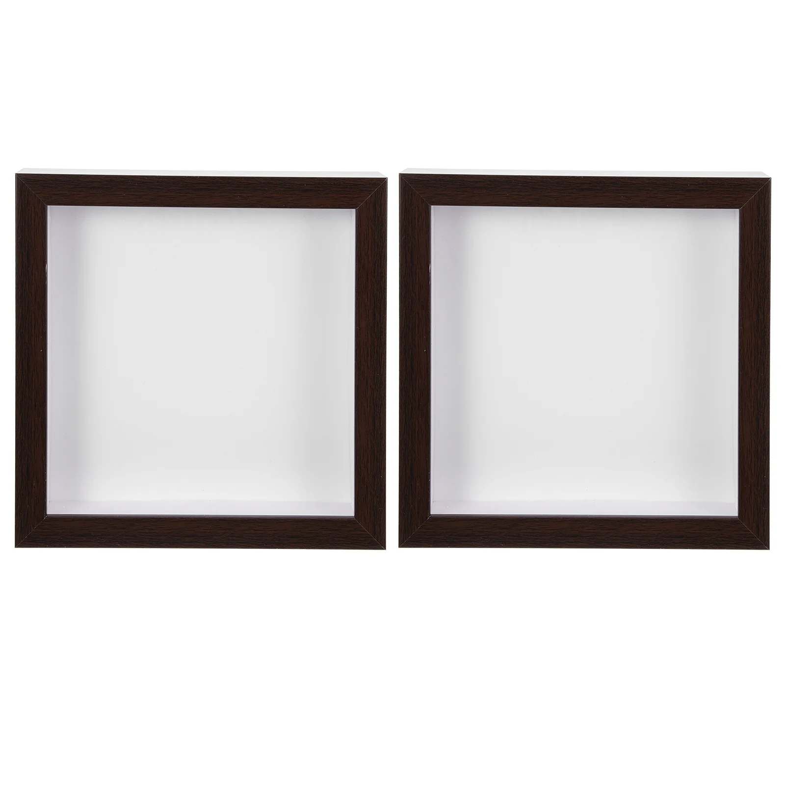 

2 Pcs Dried Flower Insect Specimens Photo Frame Species Glass Plant DIY Wood Practical