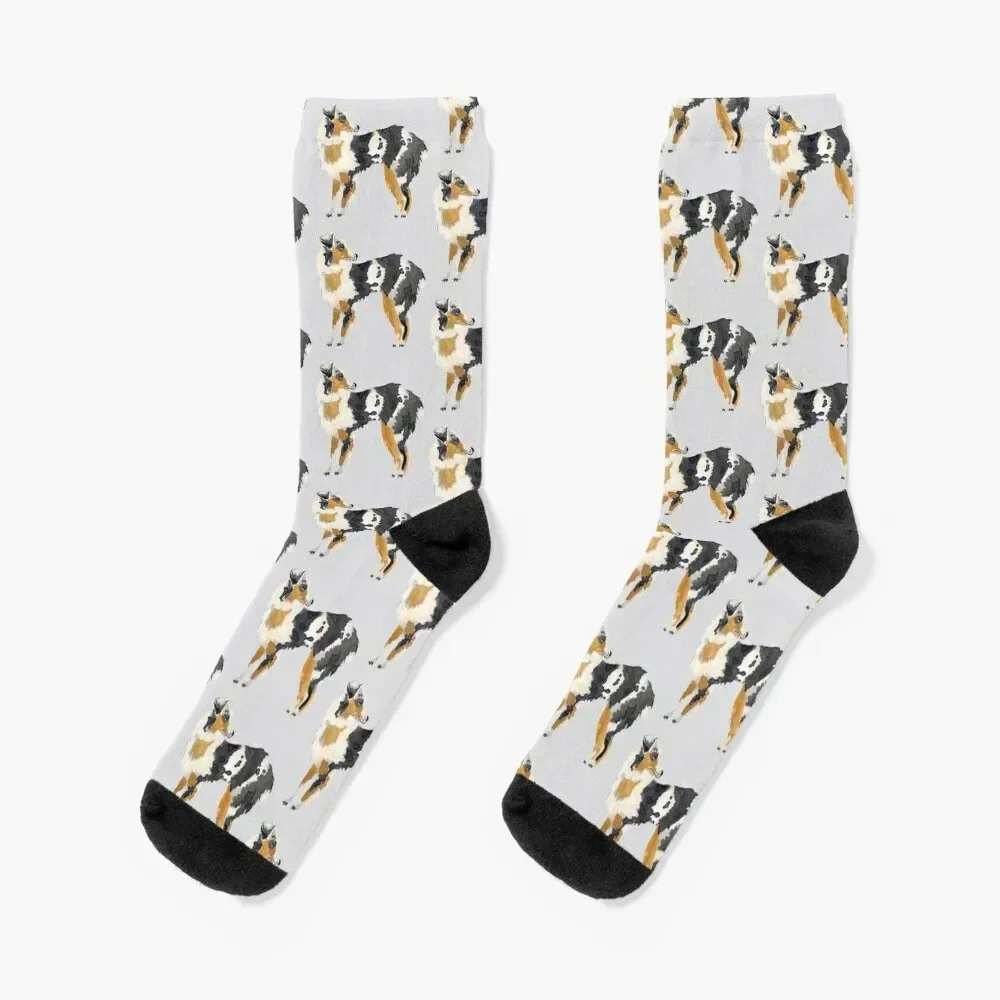 

Australian Shepherd Illustration Socks designer brand Children's soccer anti-slip New year's Man Socks Women's